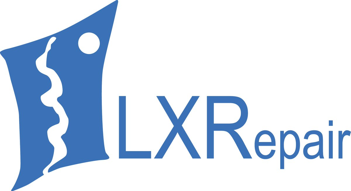 LXRepair